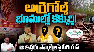 TDP Leaders on Agri gold Lands: అగ్రిగోల్డ్ భూముల్లో కక్కుర్తి! ఆ ఇద్దరు ఎమ్మెల్యేలపై సీరియస్ | PINN