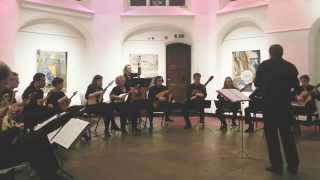 Milonga - Jorge Cardoso performed by the Dutch Mandolin Chamber Orchestra Het CONSORT