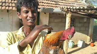 கிராமத்து முறையில் நாட்டு சேவல் வறுவல்|| kara milagai.