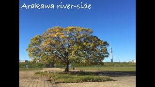 ［healing-relax／ヒーリング／치유의 이완／放鬆身心］Tokyo Arakawa-riverside JAPAN（東京　荒川）