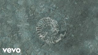Ludovico Einaudi - Einaudi: Fossils (Official Visualiser)