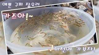 아는 사람은 안다는 구피천! 저도 가봤습니다!