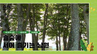 솔숲에 서어 즐기는 남원 #아름다운숲 #플로레스타 #뫼야호