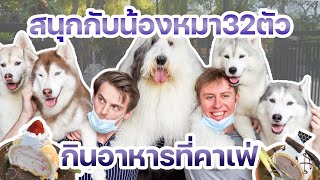 ฝรั่งมาคาเฟ่น้องหมาครั้งแรก!!!