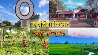 তেতুলিয়া কিসের জন্য বিখ্যাত |sk moja bd|