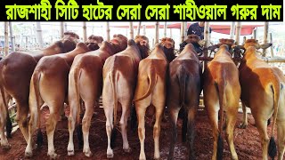 হাটের সেরা সেরা #শাহীওয়াল_গরুর_দাম। #রাজশাহী_সিটিহাট। ১২/০৬/২০২২ রবিবার।#cityhat