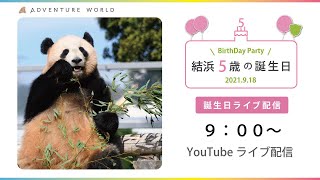 【アーカイブ配信】お姉さんパンダ「結浜」5歳の誕生日