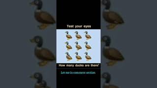 test your eyes, how many ducks are there? #short