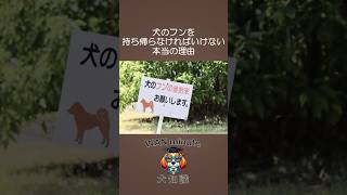 犬の〇〇を持ち帰らなければいけない本当の理由#shorts #dog #犬 #犬のいる生活 #犬の豆知識 #雑学 #犬の飼い方 #犬の散歩