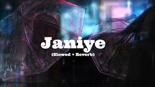 Janiye  Slowed + Reverb | Janiye (Lyrics) | Vishal Mishra,Rashmeet Kuar | Chor Nikal Ke bhaga#anime