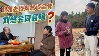 和小东北商量，去找刘总他谈合作，大家觉得会同意吗？