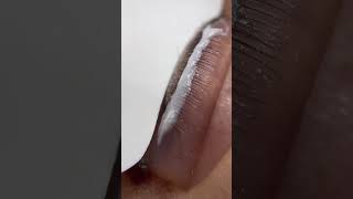 InLei® Lash Filler Mikro Fırça ile Kirpik Lifting