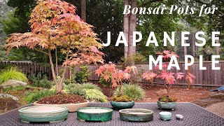 Bonsai Pots for Japanese Maple