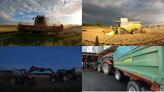 FarmVlog #76 - Erntestart | Lexion 560 TT im Kampf gegen das Gewitter