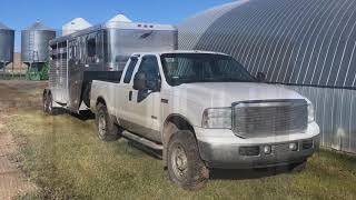 SOLD - Featherlite 2 - Horse Trailer - Gooseneck with Custom Weekender For Sale!