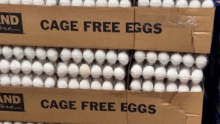 H5N1 Continues to Distort Egg Market