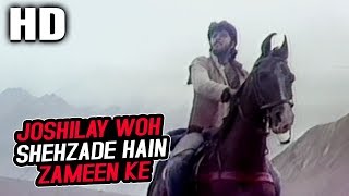 Joshilay Woh Shehzade Hain Zameen Ke | Kishore Kumar | Joshilaay 1989 Songs| Anil Kapoor, Sunny Deol