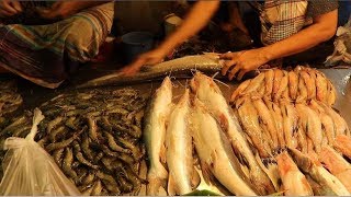 Incredible Big Sheat Fish Cutting || The Long Sheat Fish Cut Videos || Huge Long Sheat Fish Cutting