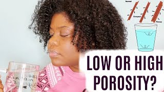 Natural Hair Porosity Test | Low, Normal or High Porosity?