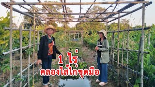 พื้นที่ 1ไร่ ทำคลองใส้ไก่ขุดมือ สำหรับคนอยากเริ่มต้นทำเกษตร​ เเต่ต้นทุนน้อย