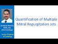 quantification of multiple mitral regurgitation jets