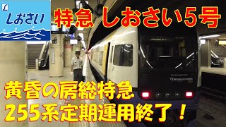 特急しおさい5号 255系（東京～佐倉）