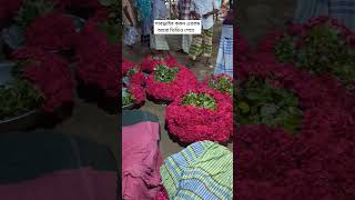 গোলাপ গ্রাম || গোলাপ গ্রাম || সাভার || Golap Gram || গোলাপ রাজ্য #golap_gram #গোলাপ_গ্রাম 😇🥀