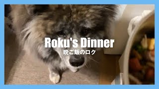 秋田犬 六郎 / 晩ご飯のロク - Roku's Dinner