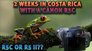 Canon R5c - 2 Weeks in Costa Rica - My Thoughts on this Camera, R5C vs R5 II - Wildlife Photography