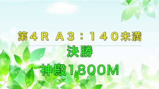 [チョコボスタリオン] 若葉杯１：４Ｒ；Ａ３-１４０未満　決勝 [エキシビジョン]