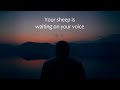 Shepherd Me, My Father - Solomon Powell (Lyric Video)