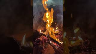 🔥 Feu de Bois Crépitant en 4K - Ambiance Relaxante pour Dormir, Méditer ou se Détendre 🌿#relaxing