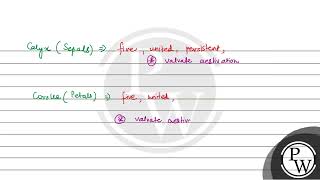 128. Sepals and petals of potato family show (1) Vexillary aestivation (2) Twisted aestivation (....