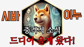 [ 시바이누 코인 ] 충격적 소식... 드디어 올게 왔다!!!!!!!!!!!