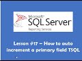 Lesson #17 – How to auto increment a primary field TSQL