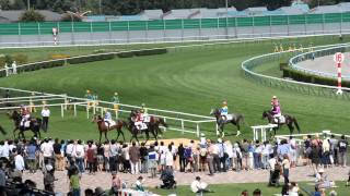 【Travel Sapporo Japan】競走馬がレースを終えて戻ってきた　札幌競馬場