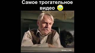 самое трогательное видео