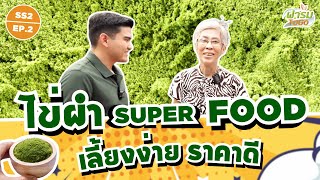 ฟาร์ม To Go SS2 EP. 2 | ไข่ผำ Super Food เลี้ยงง่าย ราคาดี!