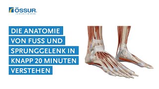 Für OrthopädietechnikerInnen: in knapp 20 Minuten die Anatomie von Fuß und Sprunggelenk verstehen.