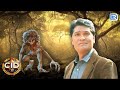 ACP abhijit को दिखा जंगल में अजीब सा प्राणी   | Crime Investigation Department | New Episode 574