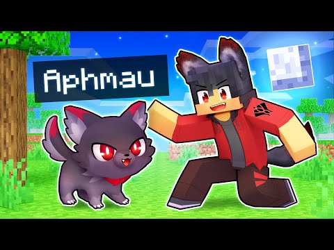 ¡Jugando como un GATITO hombre lobo leal en Minecraft!