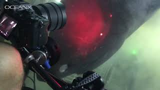 Massive Deep Sea Shark Checking Out Our Submarine!