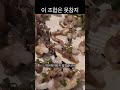 산낙지가 꿈틀꿈틀