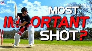 Mastering the MOST IMPORTANT shot in CRICKET
