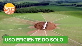 Técnicas de integração têm aumentado produção de pecuária brasileira | Agro Record DF