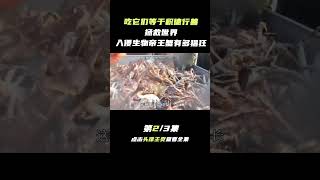 Pt2/3 它们等于积德行善，高端食材帝王蟹，每吃一只都是在拯救世界？【科普任意门】#shorts