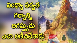 Suppressing the pride of the Vindhya mountain || Adhyathmikam