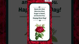 Rose Day 2023 Quotes and Sayings About Love, Beautiful Rose Images, HD Wallpapers and Messages