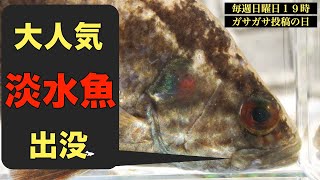 【ガサガサ】ポカポカ陽気の中、新規開拓ガサ！【土管ガチャ】NO.40