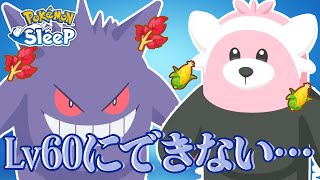 【ポケモンスリープ】レベル60にできない……